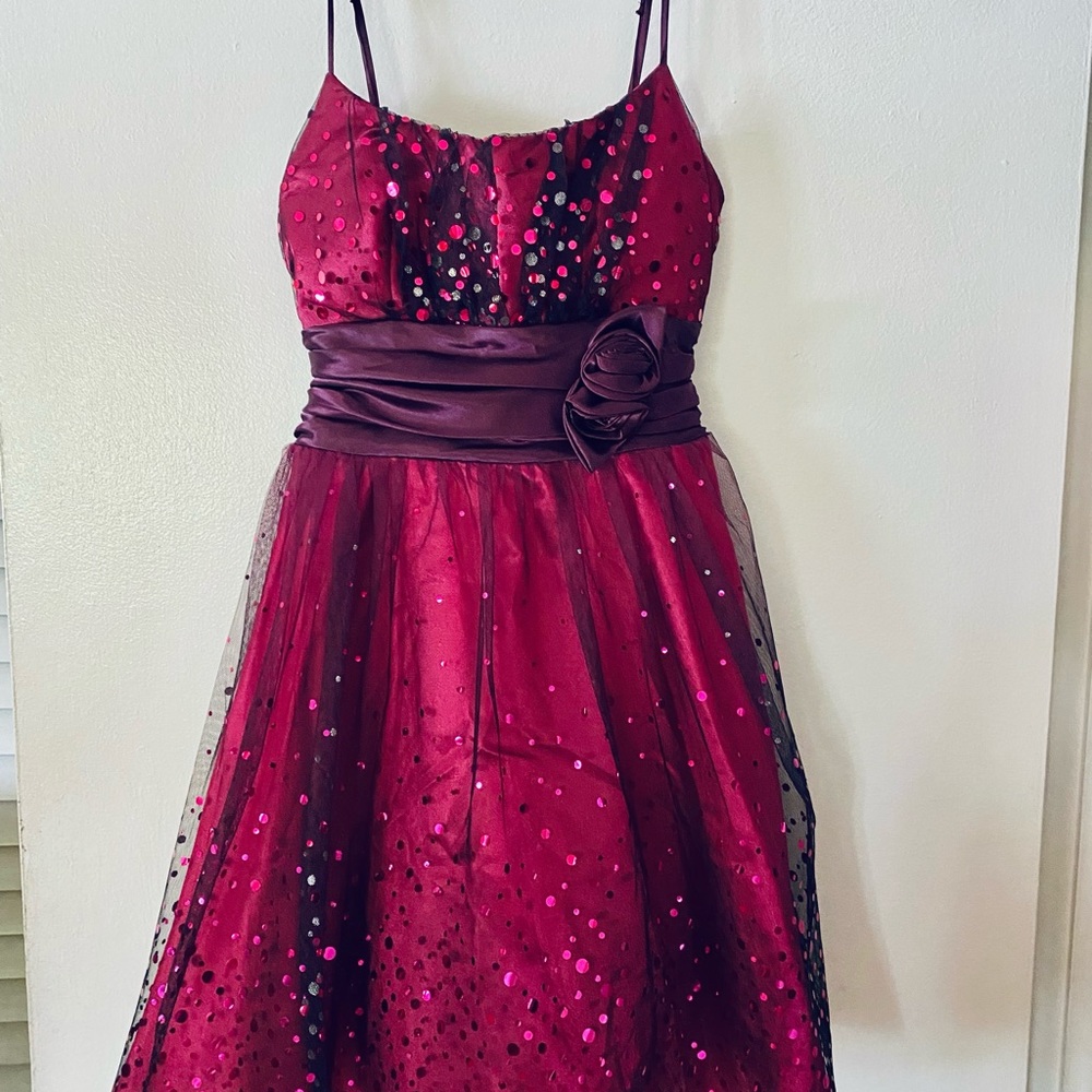 Burgundy sequins and satin dress